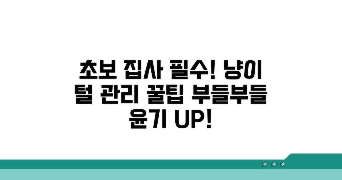 초보 집사를 위한 브러싱 꿀팁