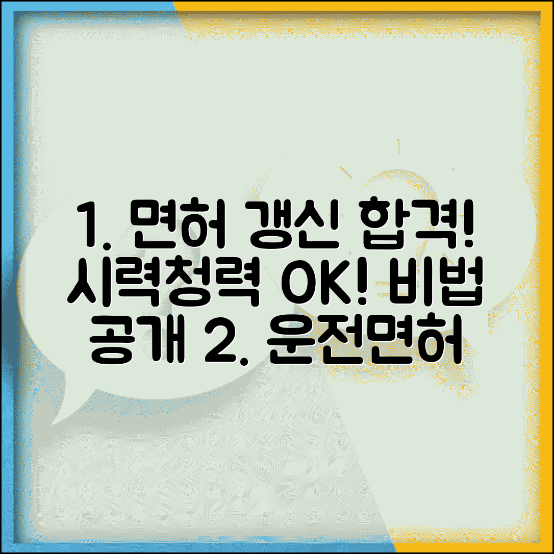 운전면허증 갱신 적성검사 합격 가이드 | 시력, 청력 테스트 대비 노하우 및 주의사항