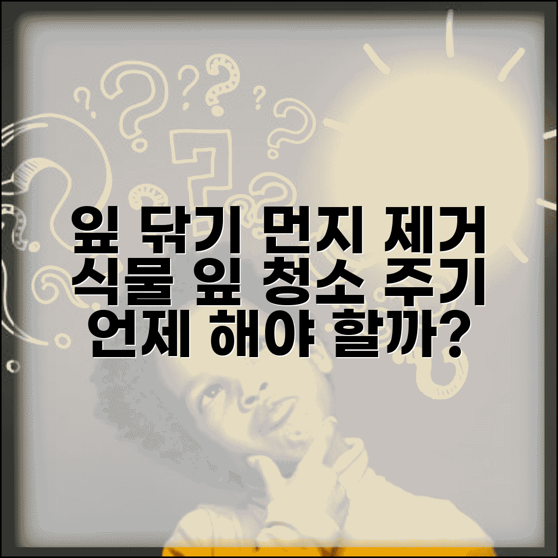 잎 닦기 주기 먼지 제거 주기 | 식물 잎 청소 주기
