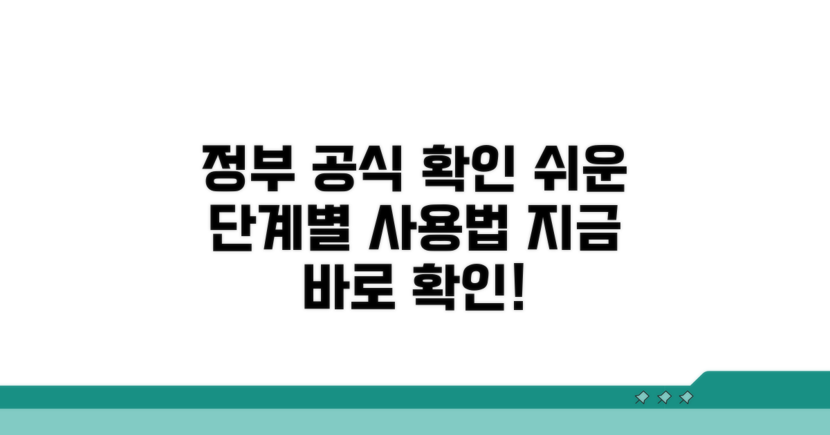 정부 공식 확인 시스템, 단계별 사용법 안내