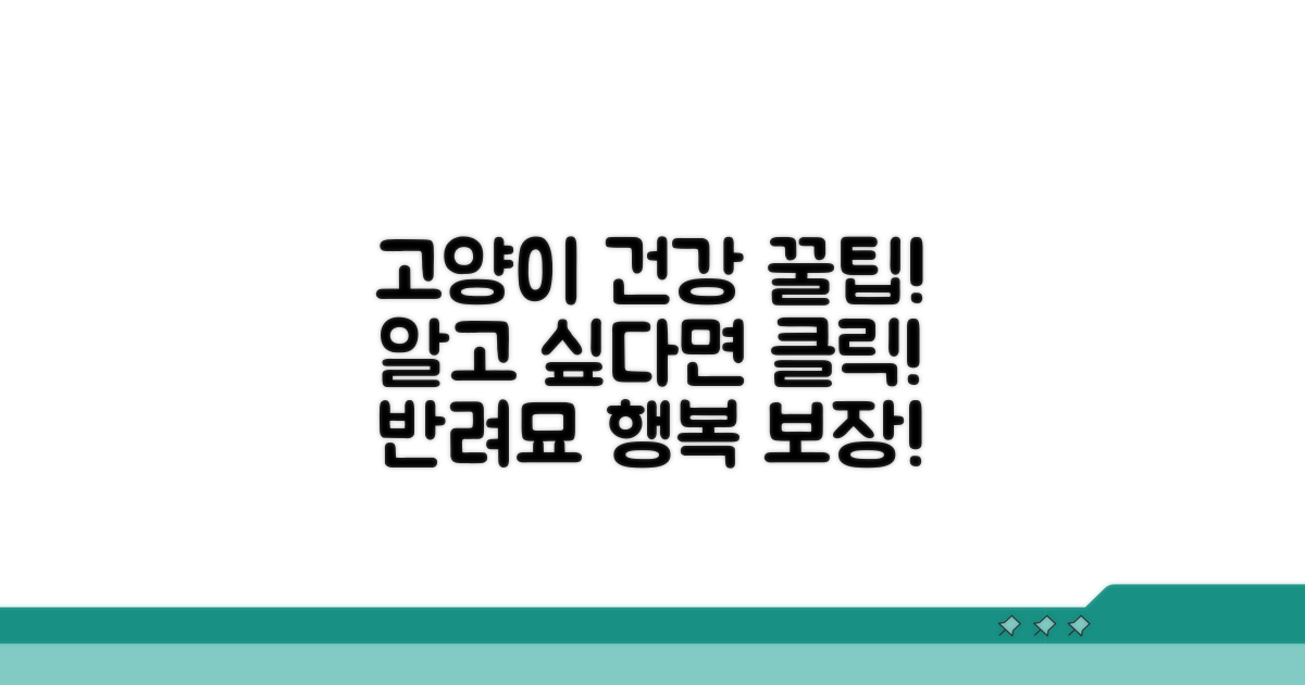 우리 고양이 건강 지키는 꿀팁
