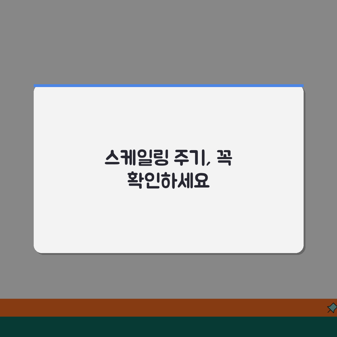 스케일링 몇 개월마다 받아야 하는지 | 치과 스케일링 주기와 치석 제거 횟수 알려드려요!