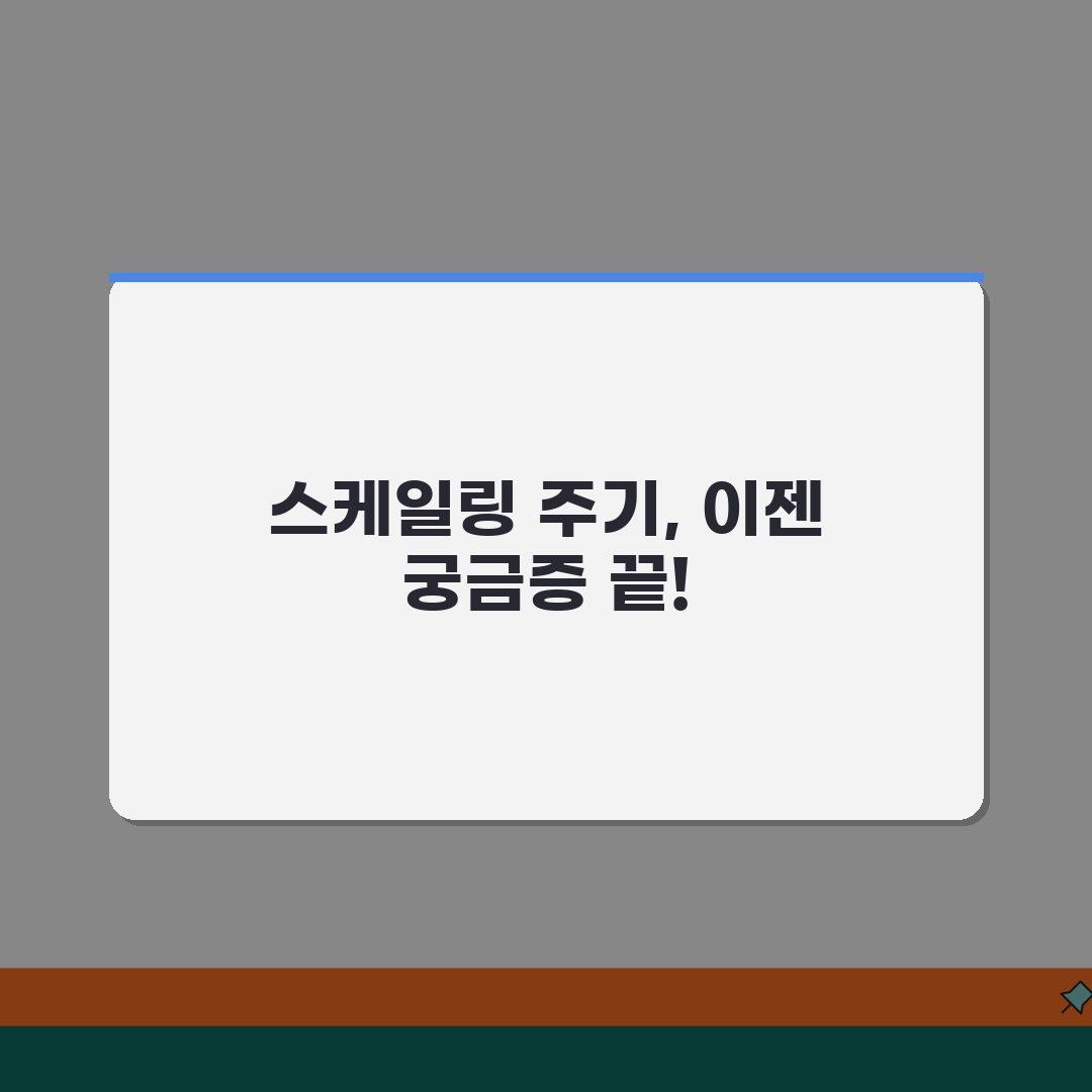스케일링 몇 개월마다 받아야 하는지 | 치과 스케일링 주기와 치석 제거 횟수 알려드려요!