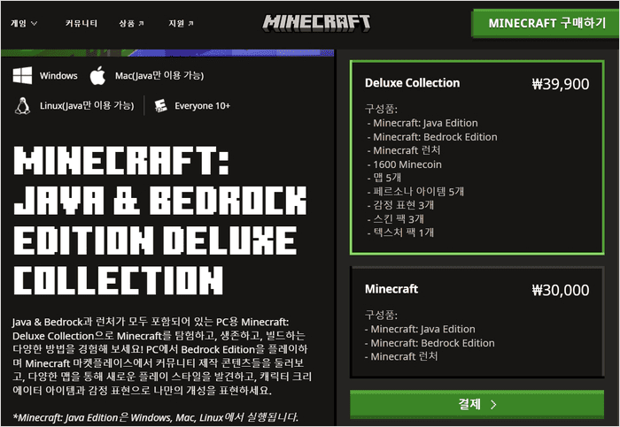 마인크래프트 결제 화면